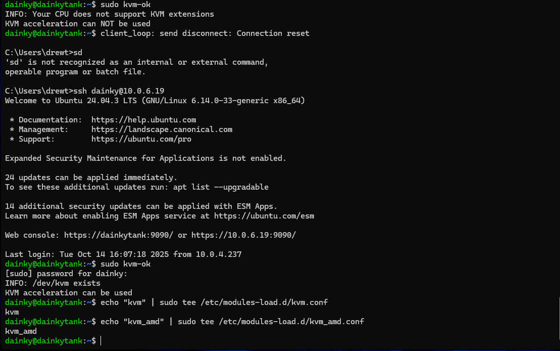 Terminal showing KVM error and virtualization check